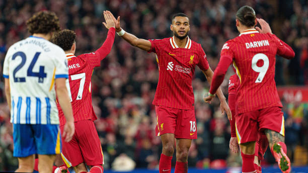 作的开始 作的开始